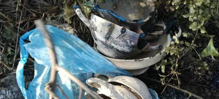 Βρέθηκε αμύθητος αρχαίος θησαυρός – Αποκαλύφθηκε μετά από φωτιά στη Φθιώτιδα (Εικόνες)